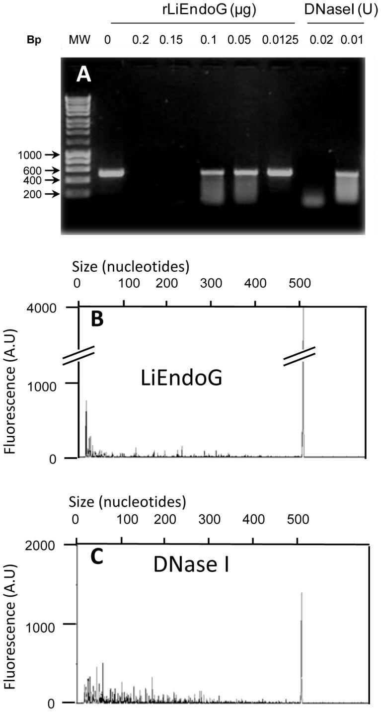 https://cdn.ncbi.nlm.nih.gov/pmc/blobs/3f38/3971528/e2e6946c308a/pone.0089526.g002.jpg