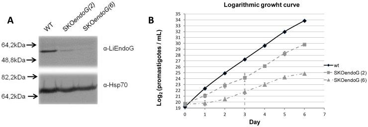 https://cdn.ncbi.nlm.nih.gov/pmc/blobs/3f38/3971528/f91b66fc4ce3/pone.0089526.g003.jpg