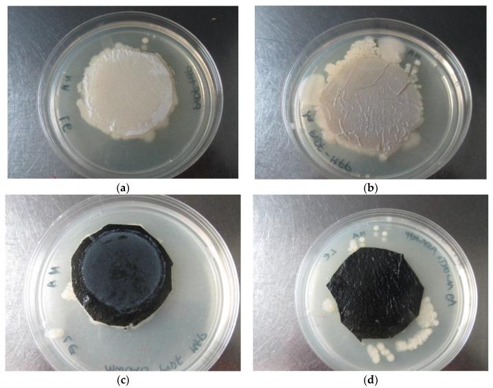 https://cdn.ncbi.nlm.nih.gov/pmc/blobs/3f3a/5618120/59c26cd3c2c9/membranes-07-00035-g009.jpg