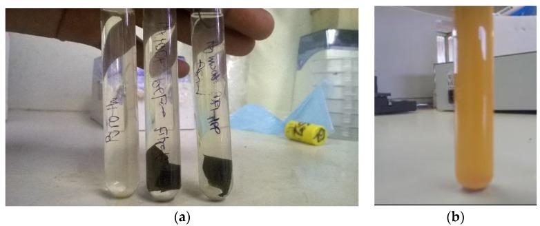https://cdn.ncbi.nlm.nih.gov/pmc/blobs/3f3a/5618120/e5fe4507ea9e/membranes-07-00035-g010.jpg