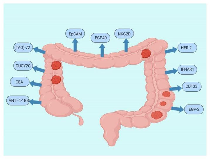 https://cdn.ncbi.nlm.nih.gov/pmc/blobs/3f3a/7019711/5264c1dc0afe/jcm-09-00182-g002.jpg