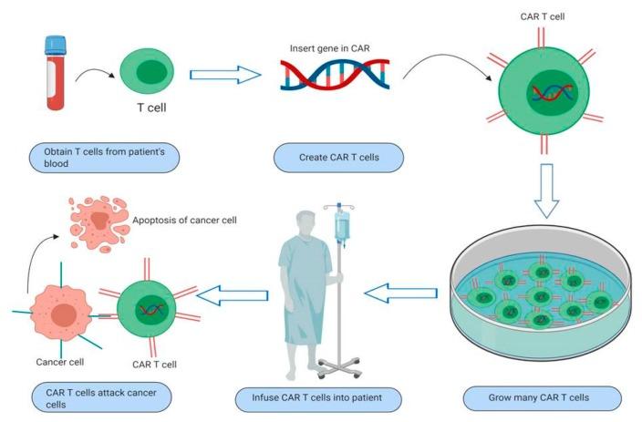 https://cdn.ncbi.nlm.nih.gov/pmc/blobs/3f3a/7019711/6b57c71fd64b/jcm-09-00182-g001.jpg