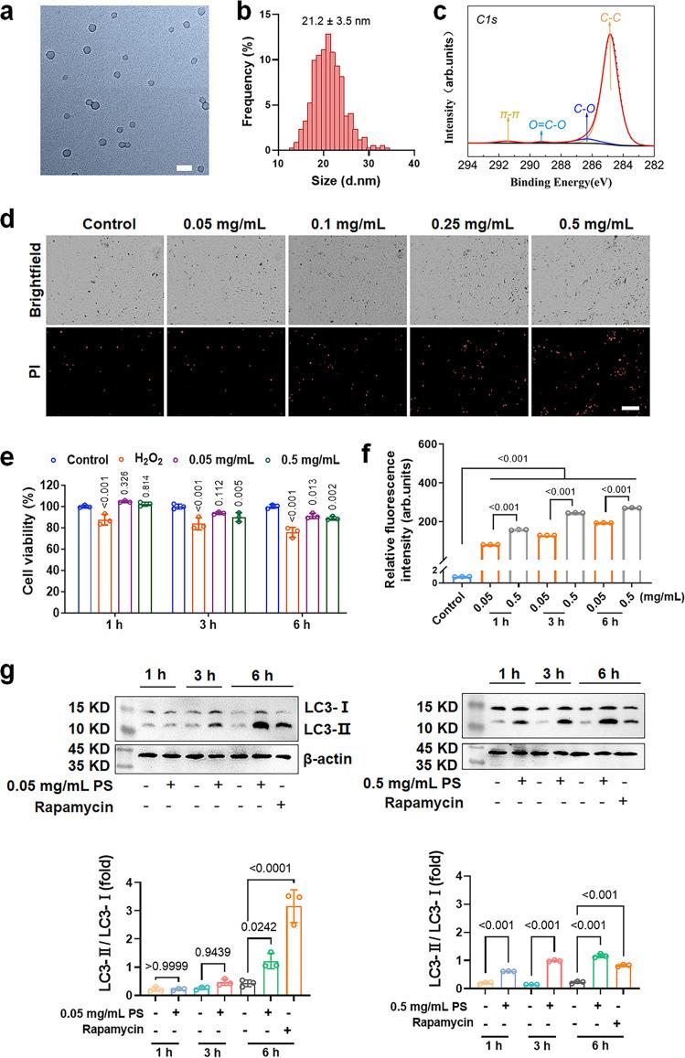 https://cdn.ncbi.nlm.nih.gov/pmc/blobs/3f3a/9376074/68319bfb9bdf/41467_2022_32532_Fig1_HTML.jpg