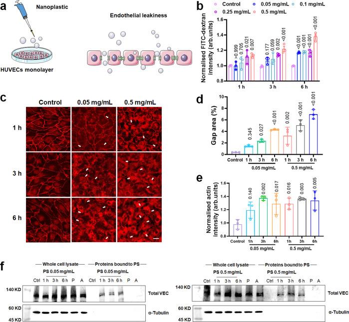 https://cdn.ncbi.nlm.nih.gov/pmc/blobs/3f3a/9376074/d4d8c7ca6c36/41467_2022_32532_Fig2_HTML.jpg