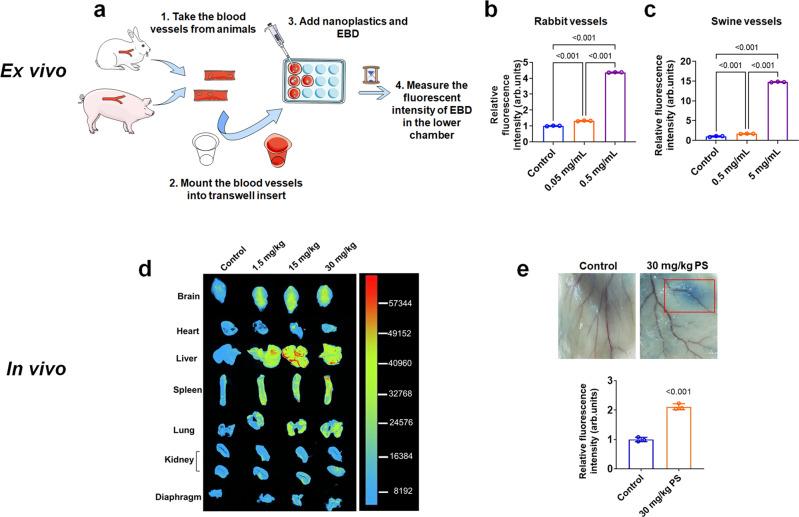 https://cdn.ncbi.nlm.nih.gov/pmc/blobs/3f3a/9376074/ff8565c458ba/41467_2022_32532_Fig6_HTML.jpg