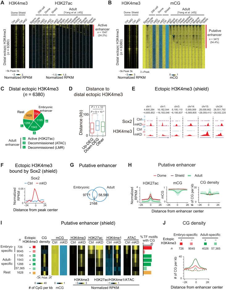 https://cdn.ncbi.nlm.nih.gov/pmc/blobs/3f3c/8694617/b1486f9e0b43/sciadv.abl3858-f6.jpg