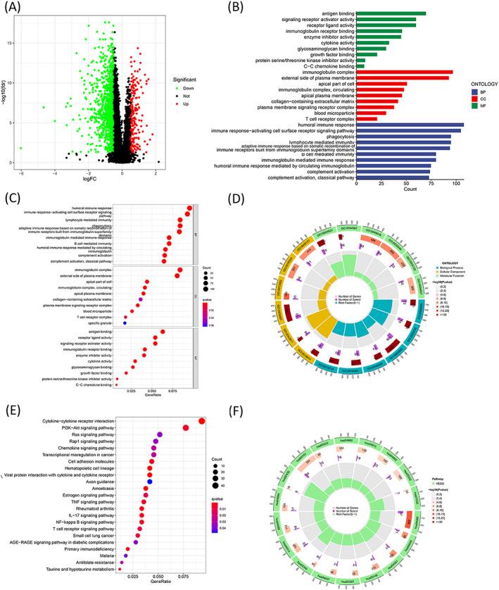 https://cdn.ncbi.nlm.nih.gov/pmc/blobs/3f3d/9701877/5474346f2dc9/JCLA-36-e24723-g004.jpg
