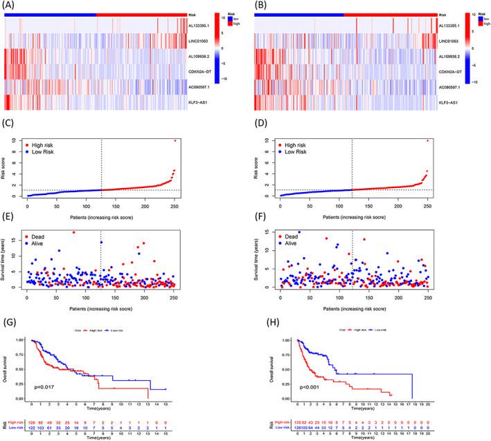 https://cdn.ncbi.nlm.nih.gov/pmc/blobs/3f3d/9701877/66adb37fa6b8/JCLA-36-e24723-g001.jpg
