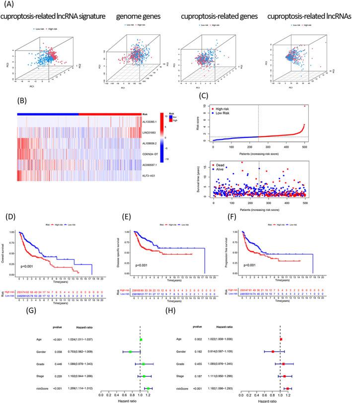 https://cdn.ncbi.nlm.nih.gov/pmc/blobs/3f3d/9701877/879567abd085/JCLA-36-e24723-g002.jpg