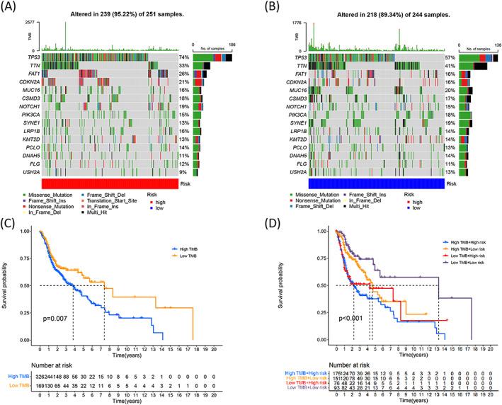 https://cdn.ncbi.nlm.nih.gov/pmc/blobs/3f3d/9701877/d00dd2bc65c3/JCLA-36-e24723-g010.jpg