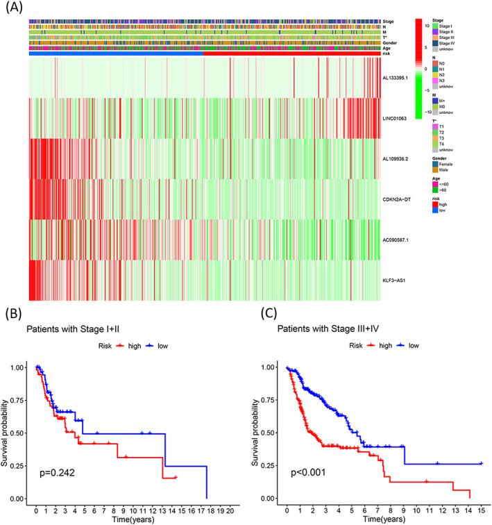https://cdn.ncbi.nlm.nih.gov/pmc/blobs/3f3d/9701877/d18332d21c04/JCLA-36-e24723-g006.jpg