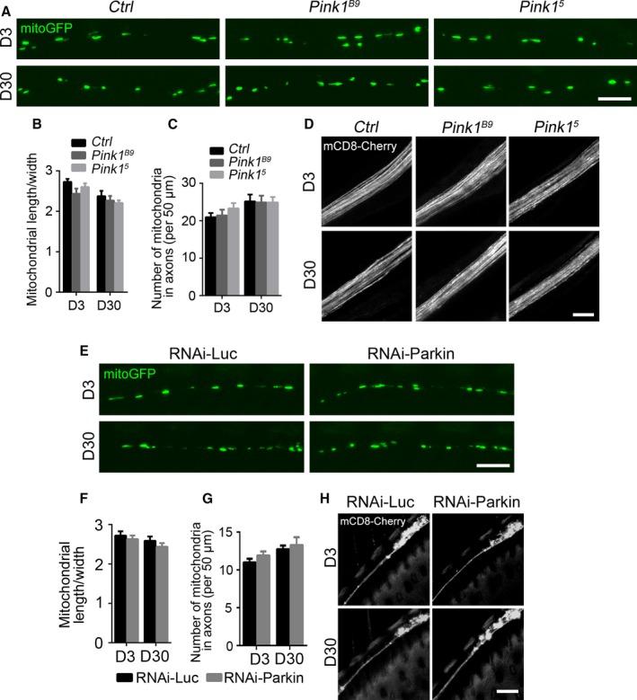 https://cdn.ncbi.nlm.nih.gov/pmc/blobs/3f3e/5595681/9cb0d792e84c/ACEL-16-1180-g002.jpg