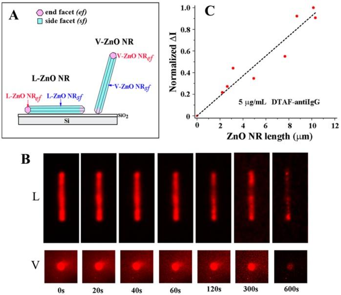 https://cdn.ncbi.nlm.nih.gov/pmc/blobs/3f3f/5335944/5a353d29a71d/sensors-17-00428-g008.jpg