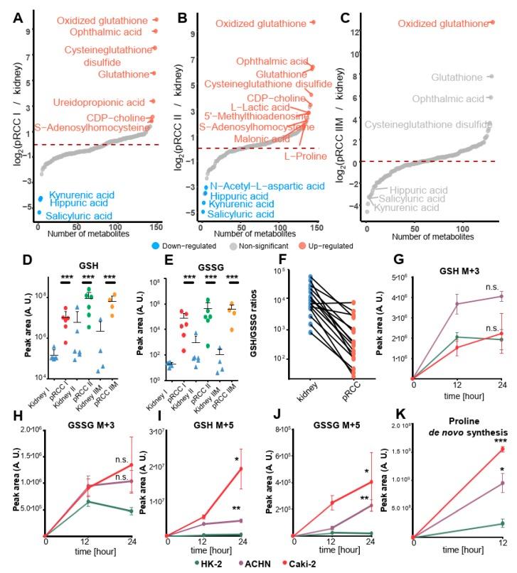 https://cdn.ncbi.nlm.nih.gov/pmc/blobs/3f40/6770591/28131fff11a8/cancers-11-01298-g006.jpg