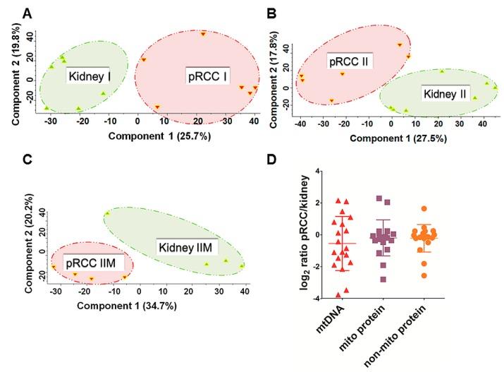 https://cdn.ncbi.nlm.nih.gov/pmc/blobs/3f40/6770591/63bffb84b1f4/cancers-11-01298-g001.jpg