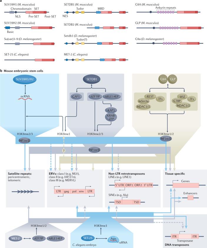 https://cdn.ncbi.nlm.nih.gov/pmc/blobs/3f40/9099300/3bfd0e4ffe32/41580_2022_483_Fig1_HTML.jpg