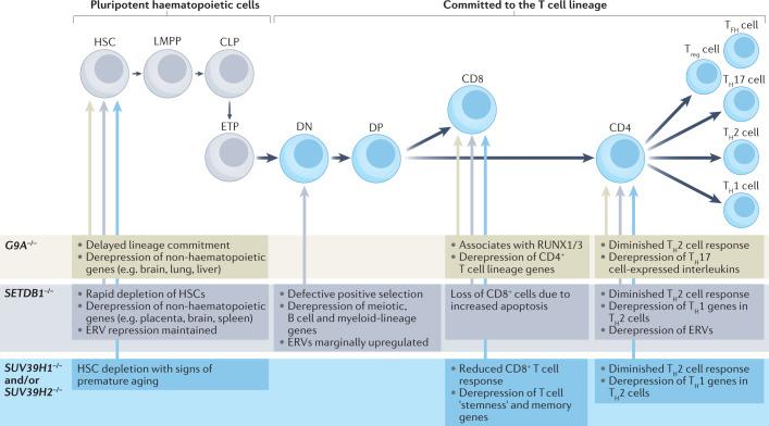 https://cdn.ncbi.nlm.nih.gov/pmc/blobs/3f40/9099300/8c76f0a2fa4b/41580_2022_483_Fig3_HTML.jpg