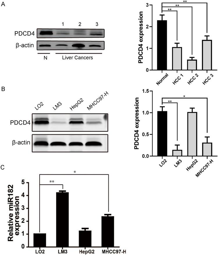https://cdn.ncbi.nlm.nih.gov/pmc/blobs/3f45/7502386/bf2370c6e35a/OTT-13-9159-g0001.jpg