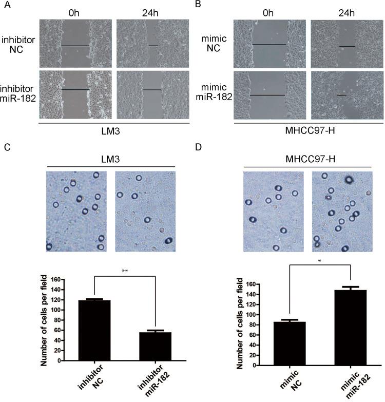 https://cdn.ncbi.nlm.nih.gov/pmc/blobs/3f45/7502386/ed8c9b80a745/OTT-13-9159-g0003.jpg