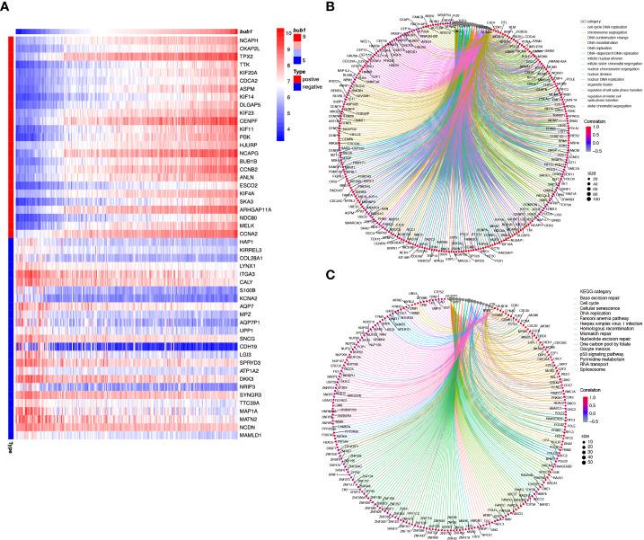 https://cdn.ncbi.nlm.nih.gov/pmc/blobs/3f45/9552328/dc0fa93d1102/fonc-12-988415-g004.jpg