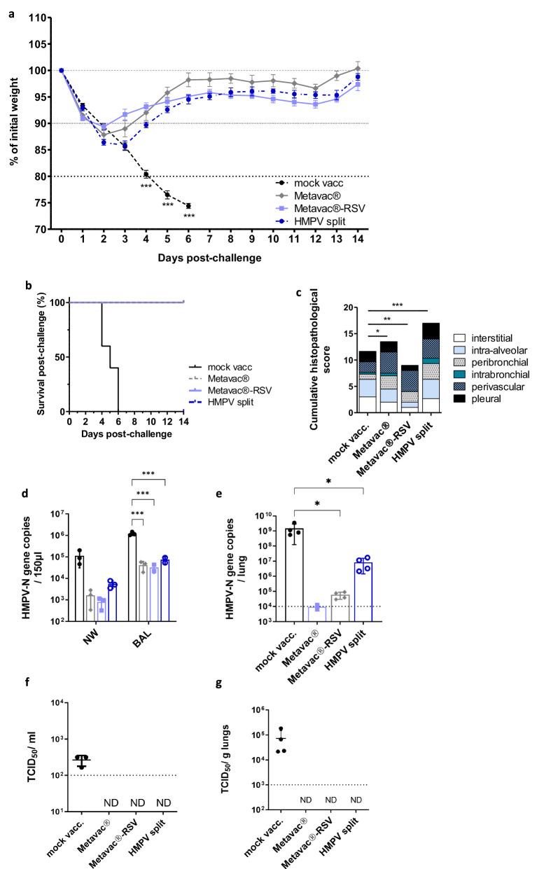 https://cdn.ncbi.nlm.nih.gov/pmc/blobs/3f46/11187144/6834674e2790/41541_2024_899_Fig5_HTML.jpg