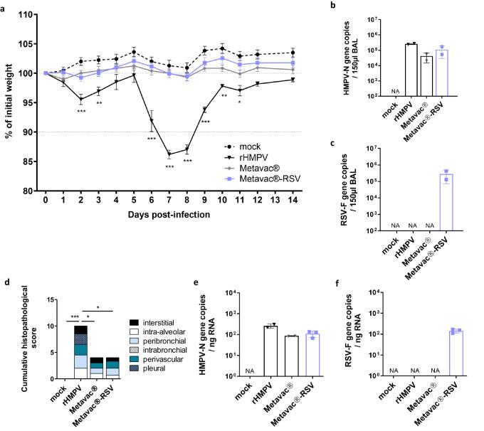 https://cdn.ncbi.nlm.nih.gov/pmc/blobs/3f46/11187144/718bf1158d8e/41541_2024_899_Fig4_HTML.jpg