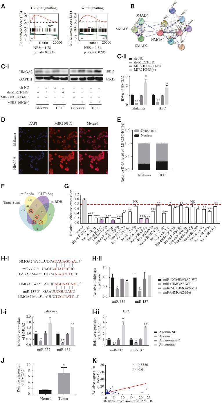 https://cdn.ncbi.nlm.nih.gov/pmc/blobs/3f46/8141672/0b8910b8e4bc/gr3.jpg