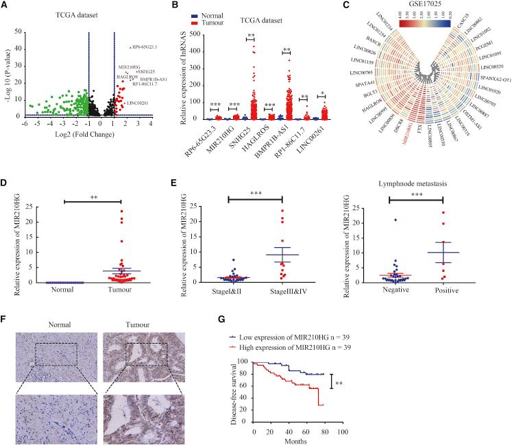 https://cdn.ncbi.nlm.nih.gov/pmc/blobs/3f46/8141672/b0a775bb23e0/gr1.jpg