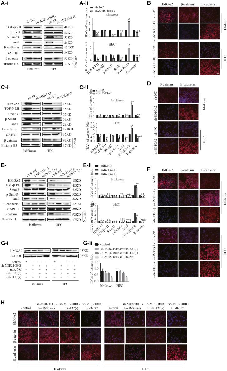 https://cdn.ncbi.nlm.nih.gov/pmc/blobs/3f46/8141672/b7f74899ef7f/gr6.jpg