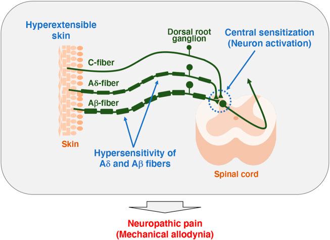 https://cdn.ncbi.nlm.nih.gov/pmc/blobs/3f47/10050494/ec4bc89e5f7f/fgene-14-1107787-g002.jpg
