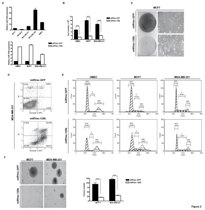 https://cdn.ncbi.nlm.nih.gov/pmc/blobs/3f47/3789742/80147f2f294f/pone.0076247.g002.jpg