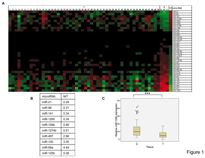 https://cdn.ncbi.nlm.nih.gov/pmc/blobs/3f47/3789742/bf2401cb47ed/pone.0076247.g001.jpg