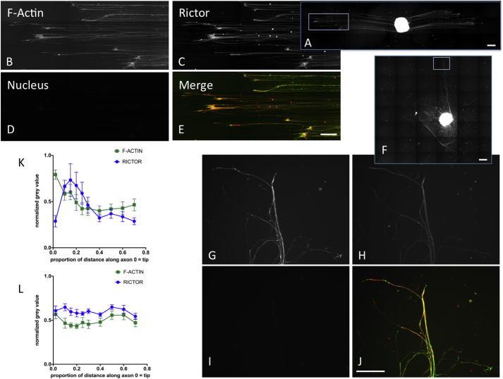 https://cdn.ncbi.nlm.nih.gov/pmc/blobs/3f48/5593812/67a9b76e1fc7/gr9.jpg