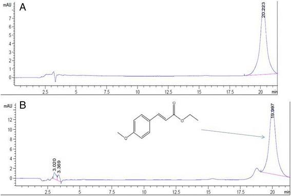 https://cdn.ncbi.nlm.nih.gov/pmc/blobs/3f49/5389435/3bebdb7e0503/12906_2017_1713_Fig1_HTML.jpg