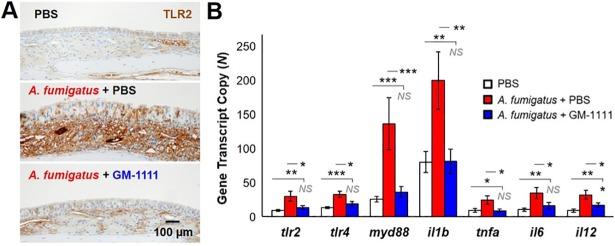 https://cdn.ncbi.nlm.nih.gov/pmc/blobs/3f49/6155557/61227fc218f4/pone.0204709.g006.jpg