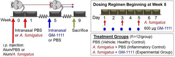 https://cdn.ncbi.nlm.nih.gov/pmc/blobs/3f49/6155557/82b16988c99e/pone.0204709.g002.jpg