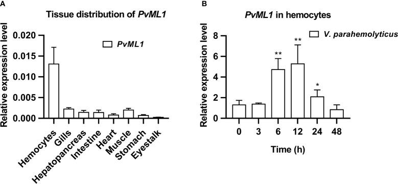 https://cdn.ncbi.nlm.nih.gov/pmc/blobs/3f4b/9832027/03e4ae719d2a/fimmu-13-1088862-g002.jpg