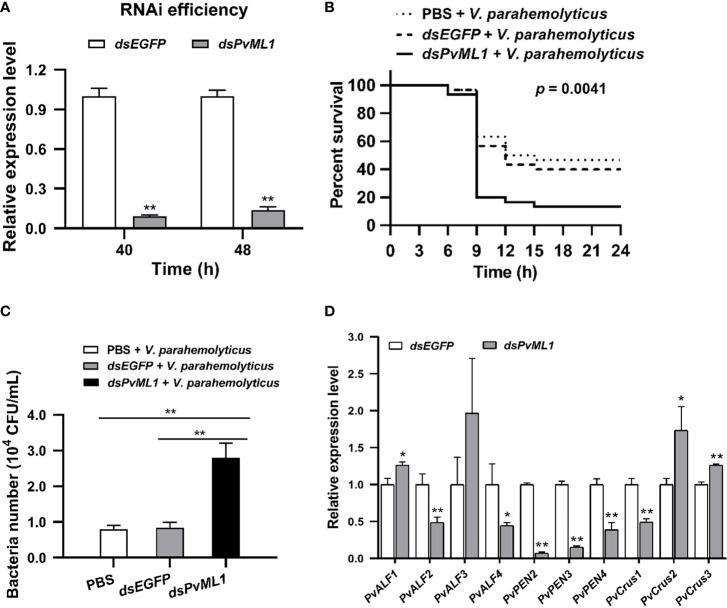 https://cdn.ncbi.nlm.nih.gov/pmc/blobs/3f4b/9832027/bdbb09926cb4/fimmu-13-1088862-g005.jpg