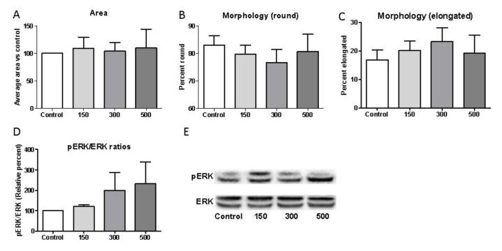 https://cdn.ncbi.nlm.nih.gov/pmc/blobs/3f4f/8346032/72ad5363c88e/ijms-22-07844-g007.jpg