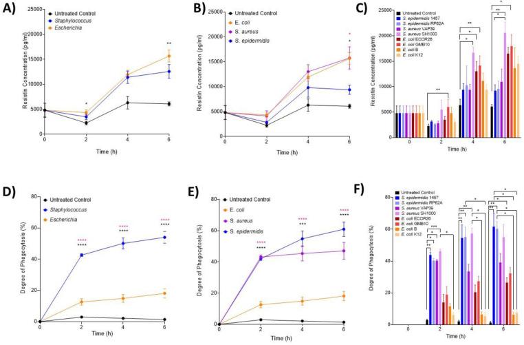 https://cdn.ncbi.nlm.nih.gov/pmc/blobs/3f50/11047930/0f67cddb05e5/biomedicines-12-00724-g003.jpg
