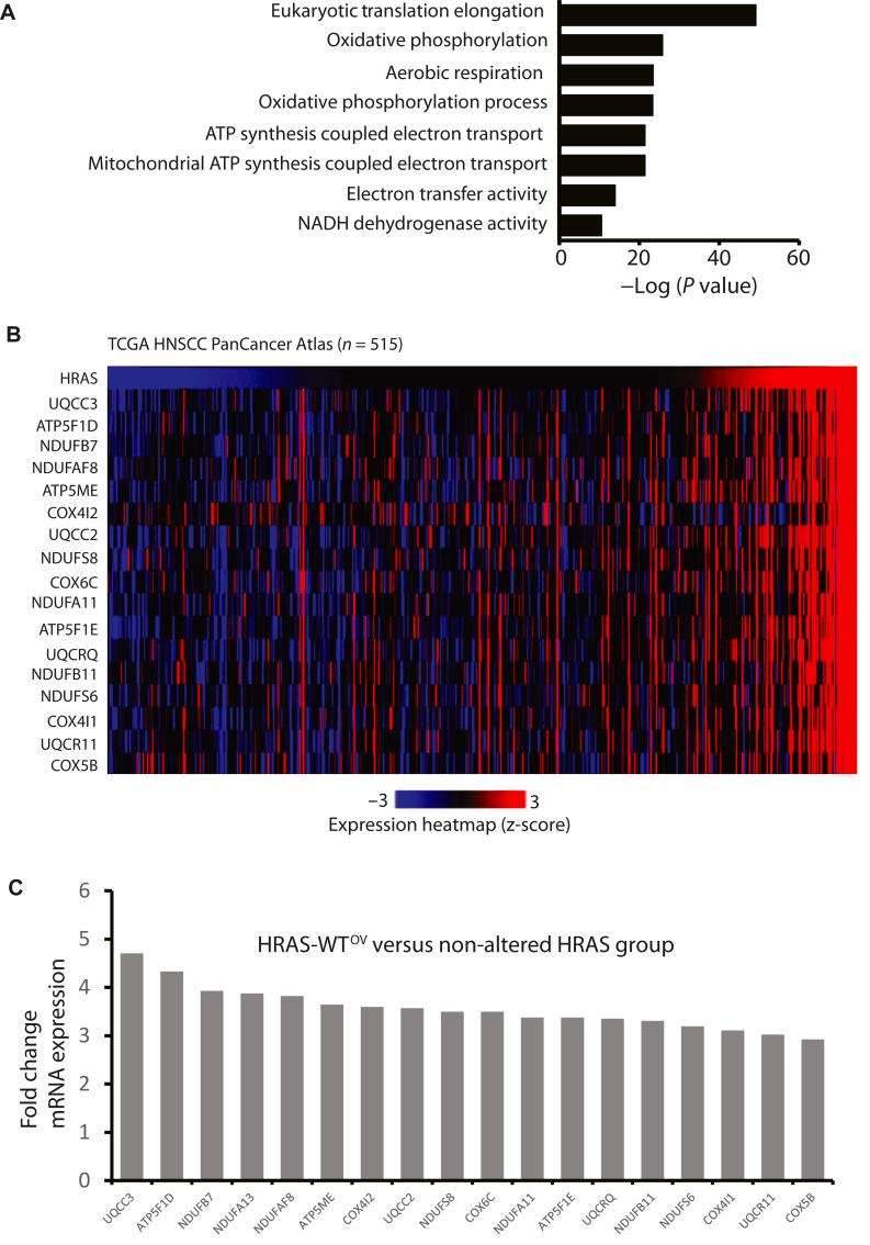 https://cdn.ncbi.nlm.nih.gov/pmc/blobs/3f50/12361755/95cbbff4109c/gr3.jpg