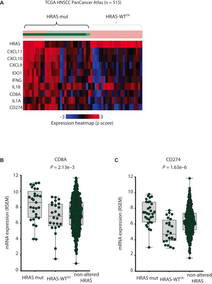 https://cdn.ncbi.nlm.nih.gov/pmc/blobs/3f50/12361755/b23446f637b1/gr2.jpg