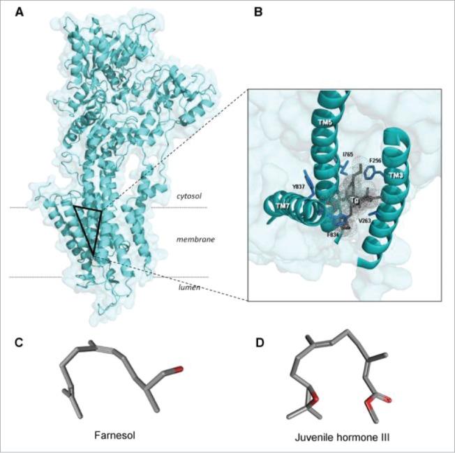 https://cdn.ncbi.nlm.nih.gov/pmc/blobs/3f50/5595427/6b4534bafb21/kcib-10-04-1341024-g006.jpg