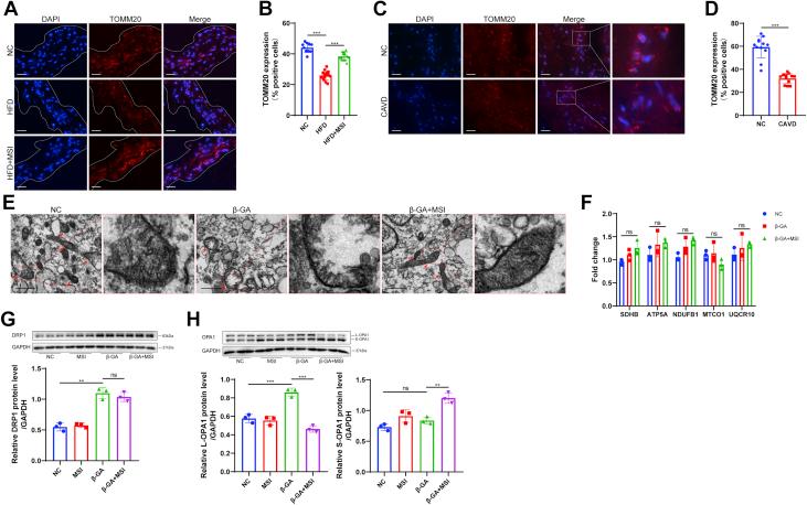 https://cdn.ncbi.nlm.nih.gov/pmc/blobs/3f50/9357565/2757ec614643/gr6.jpg