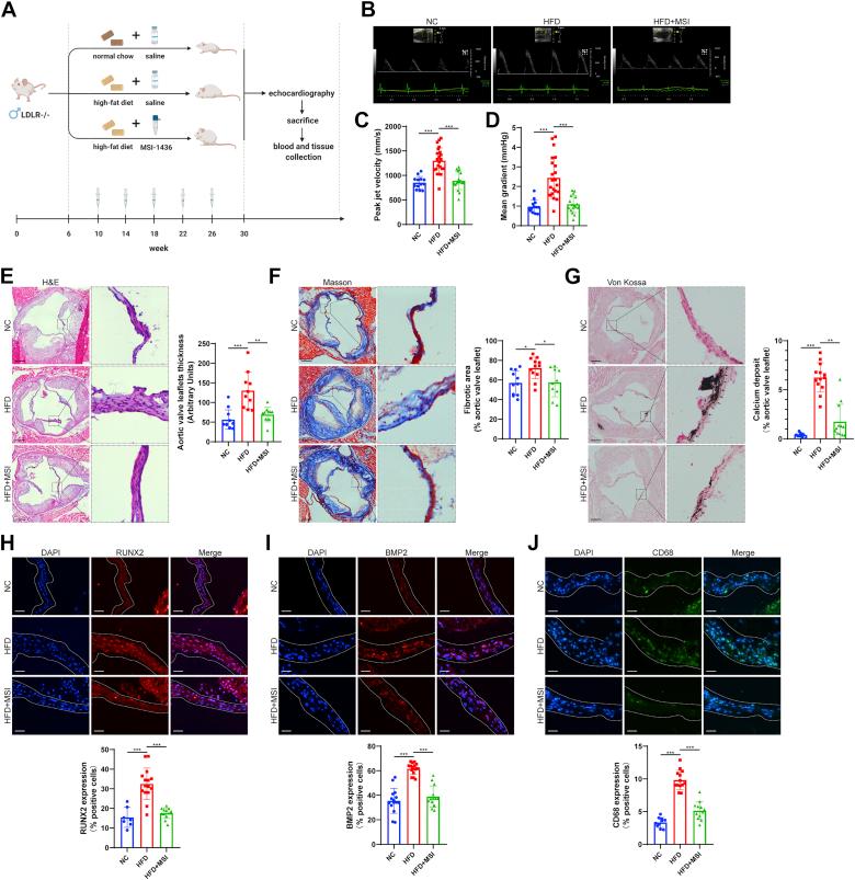 https://cdn.ncbi.nlm.nih.gov/pmc/blobs/3f50/9357565/9cb3d52d05cf/gr4.jpg