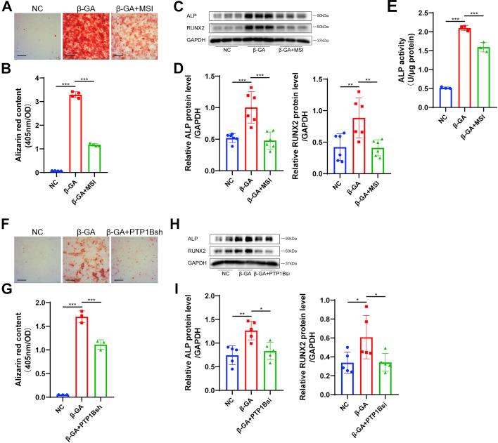 https://cdn.ncbi.nlm.nih.gov/pmc/blobs/3f50/9357565/9e1716239453/gr2.jpg