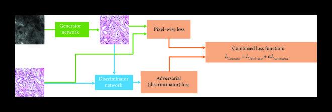 https://cdn.ncbi.nlm.nih.gov/pmc/blobs/3f51/10521663/516a13d7f623/9647163.fig.001b.jpg