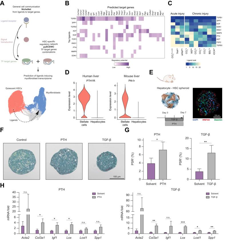 https://cdn.ncbi.nlm.nih.gov/pmc/blobs/3f53/11699746/075753a47b24/gr6.jpg