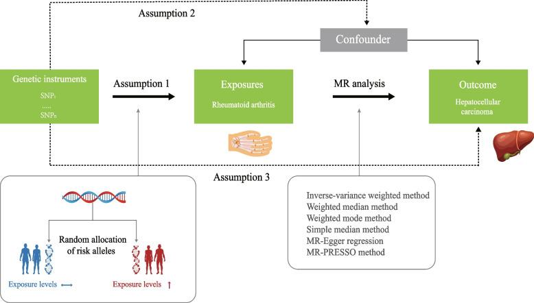 https://cdn.ncbi.nlm.nih.gov/pmc/blobs/3f54/10041783/3e8b4032f8d3/13075_2023_3029_Fig1_HTML.jpg