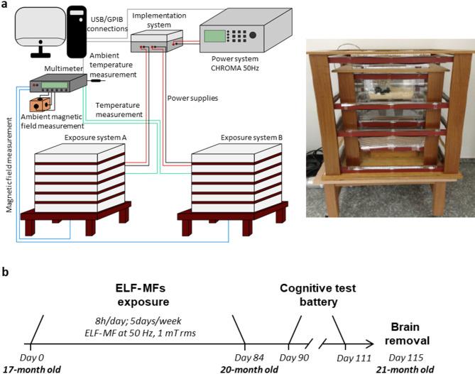 https://cdn.ncbi.nlm.nih.gov/pmc/blobs/3f56/11897315/3c9a9a67cce7/41598_2025_93230_Fig1_HTML.jpg